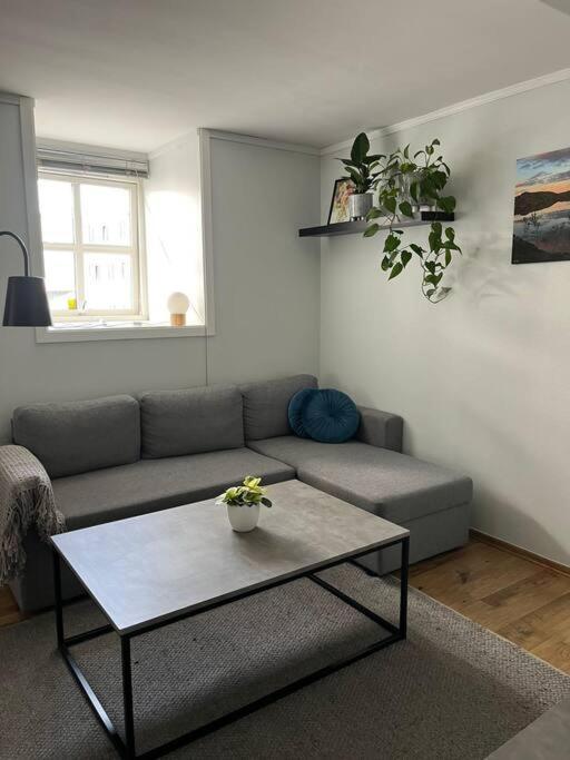 Cozy Ground Floor Apartment Tromso Exterior photo