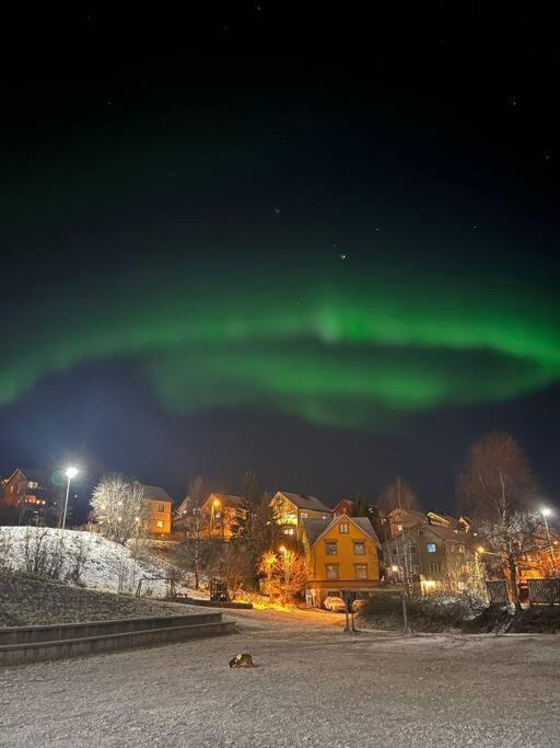 Cozy Ground Floor Apartment Tromso Exterior photo